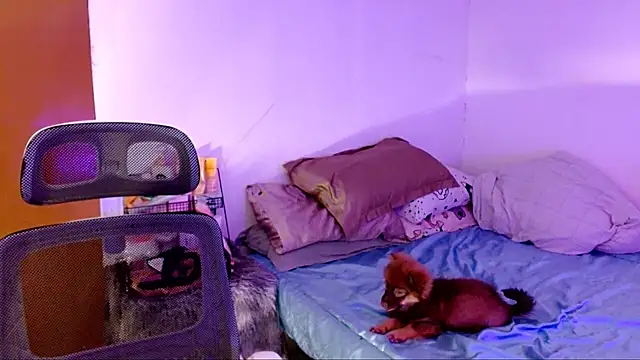 SweetLilly 18 online show from November 2025 02:22:02 PM