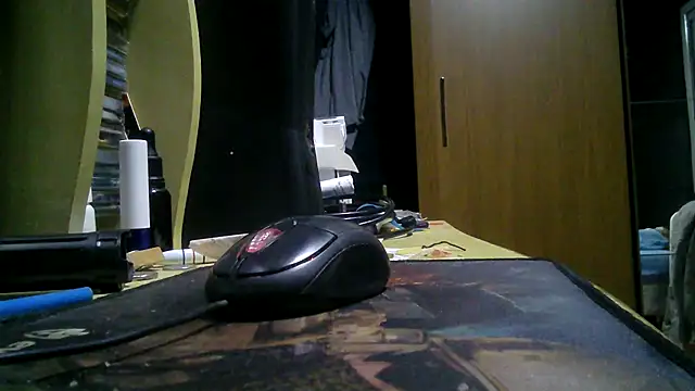 gauchors20 online show from March 2026 03:10:02 AM