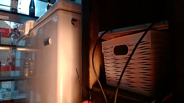 Snapshot of DAELAA chatting on November 2025 11:10:01 PM DAELAA online show from November 2025 11:10:01 PM