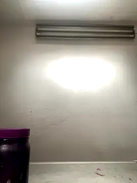 AlondraDiossa03 online show from November 2025 06:30:02 PM