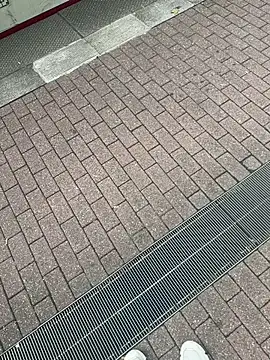 Lionayowe online show from September 2025 01:17:01 PM