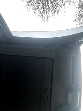 Lionayowe online show from November 2025 10:59:01 AM