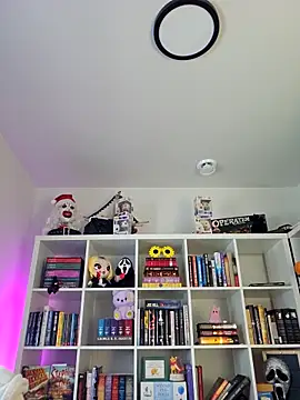 LilyOrion online show from February 2026 08:05:02 PM