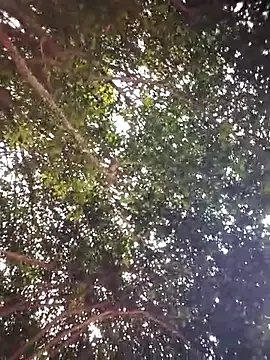 Brenda Berck  online show from April 2026 12:56:02 PM