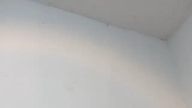 Snapshot of dalilasquirt1 chatting on February 2026 07:47:02 PM dalilasquirt1 online show from February 2026 07:47:02 PM