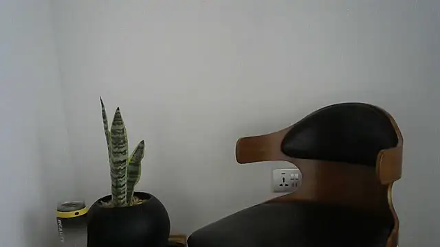 missytrig online show from February 2026 04:26:02 AM