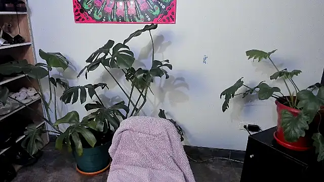 handipandapok online show from March 2025 09:24:01 PM