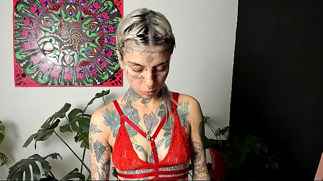 handipandapok online show from March 2025 03:22:01 AM