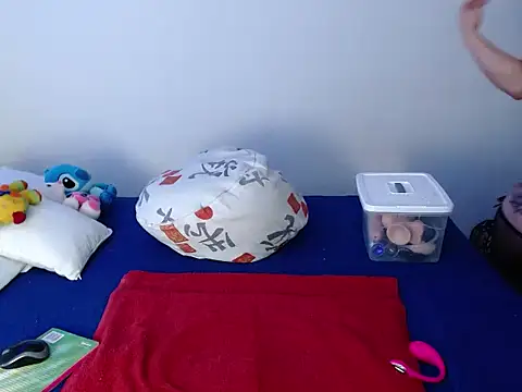 liseth 01hot online show from December 2025 11:45:01 AM