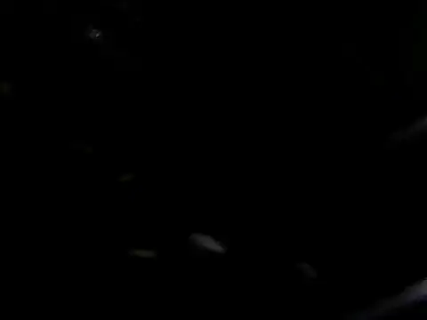 giga-bite online show from October 2025 03:46:02 PM