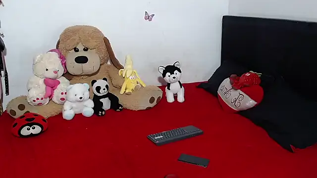 Snapshot of crss_2020 chatting on October 2025 05:47:01 PM crss 2020 online show from October 2025 05:47:01 PM