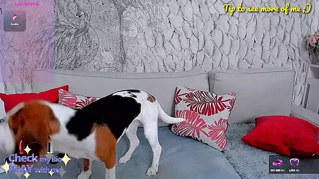 Snapshot of _MarryGirl_ chatting on January 2025 05:15:02 AM MarryGirl online show from January 2025 05:15:02 AM