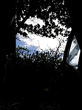 Luna-Natural online show from December 2025 06:31:02 PM