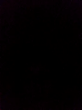 rus333 online show from December 2024 01:18:01 AM