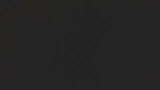 timothygonterman online show from May 2026 12:08:01 PM