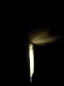 trucker1979 online show from November 2025 08:07:02 AM