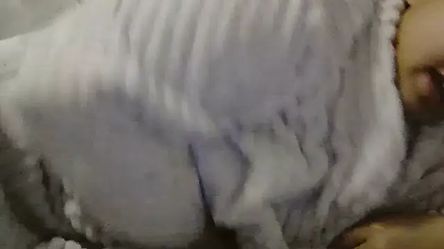 beautylovess online show from April 2026 06:53:01 AM