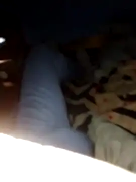 Pavlosss online show from February 2026 08:19:02 PM