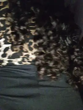 blerstefan1 online show from November 2025 04:28:01 AM