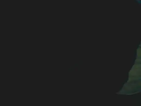 Snapshot of Latinjim29 chatting on December 2025 11:42:02 PM Latinjim29 online show from December 2025 11:42:02 PM