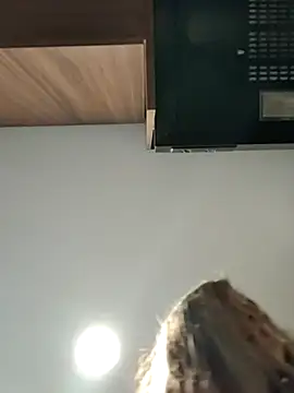 Snapshot of estrella_tasty chatting on July 2026 12:21:01 AM estrella tasty online show from July 2026 12:21:01 AM