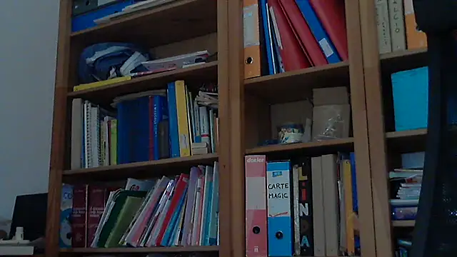 BBB SAW online show from March 2025 03:29:01 PM