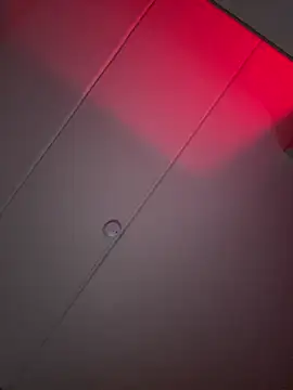 Amanita Bloom online show from January 2026 04:16:01 AM