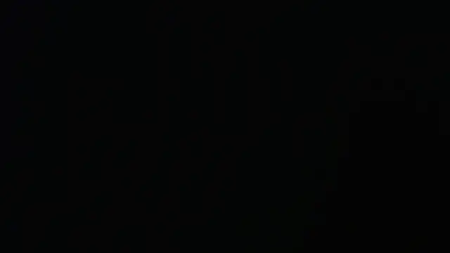 seeker797 online show from March 2026 02:14:02 AM