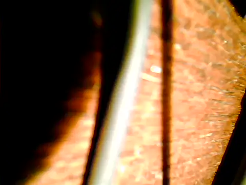 johnjohn622662 online show from November 2025 04:22:02 PM