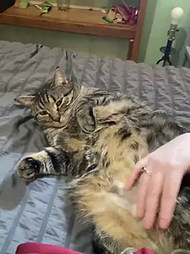 jaseyrae online show from March 2025 08:54:02 PM