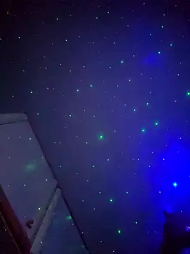 sofiabichota online show from December 2024 11:52:01 PM