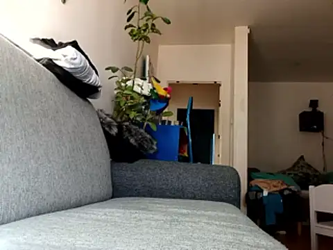 ganjaman871231 online show from February 2026 10:04:02 AM