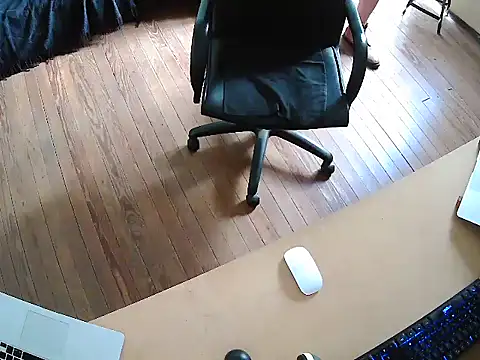 seoulsatxh online show from November 2025 06:23:02 PM