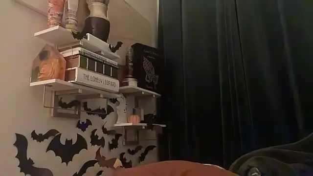 Sanaawest online show from October 2025 12:04:01 PM