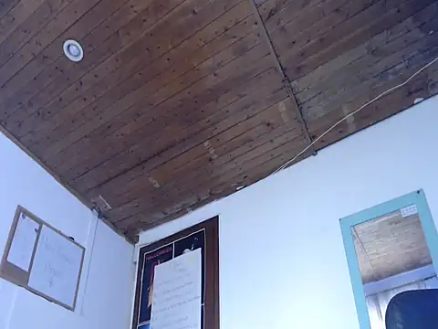 alisterxxx online show from March 2026 02:38:01 PM