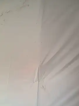 Ebony nasty girl online show from February 2026 07:30:01 AM