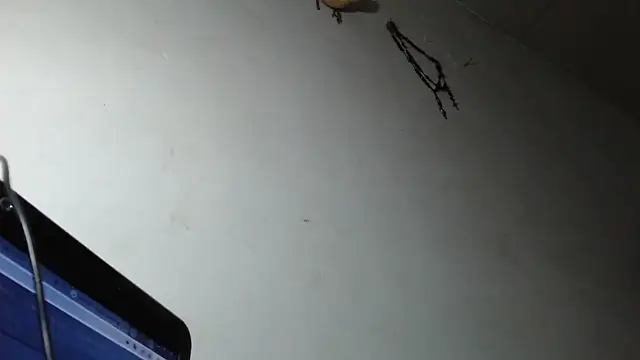 adrixxx38 online show from March 2026 12:18:01 AM