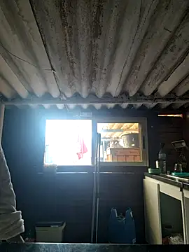 mila38 online show from November 2025 09:56:01 AM