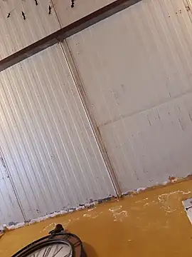 mila38 online show from March 2026 08:31:01 AM