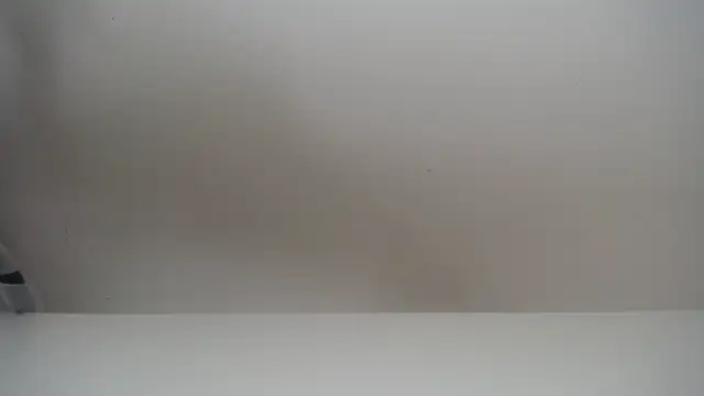 salomecastro  online show from November 2025 06:30:01 PM