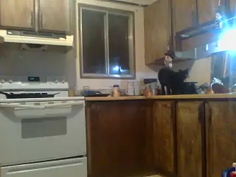 Snapshot of Ryoko_Momoko chatting on January 2025 07:22:01 AM Ryoko Momoko online show from January 2025 07:22:01 AM