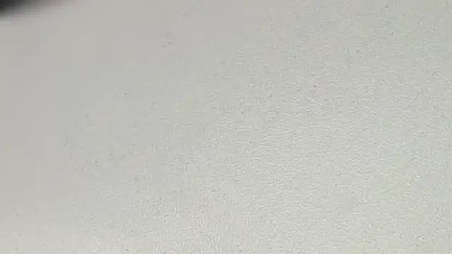 Snapshot of yodaModel1 chatting on February 2025 10:14:02 AM yodaModel1 online show from February 2025 10:14:02 AM