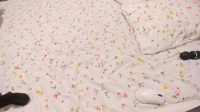 Eziliz online show from September 2025 06:18:02 PM