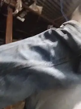 rohanhotguy online show from March 2026 02:56:02 PM