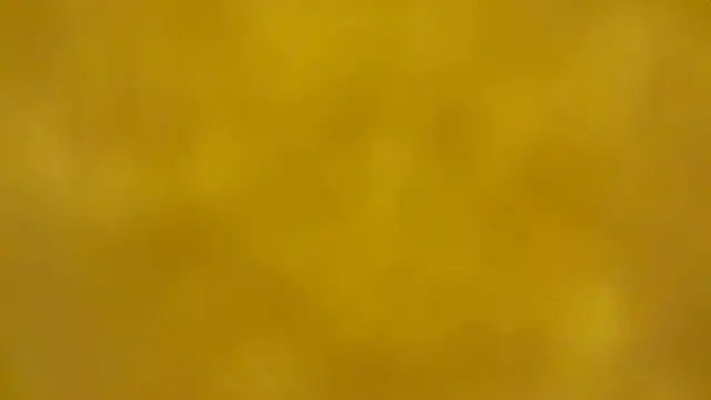 fmodel online show from December 2025 02:43:02 PM