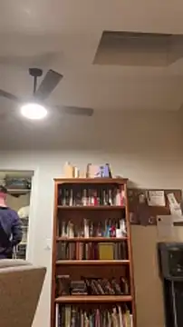 pussyaddict21 online show from January 2025 04:05:01 AM