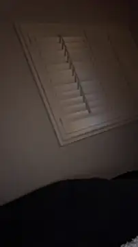 pussyaddict21 online show from January 2025 05:59:01 AM