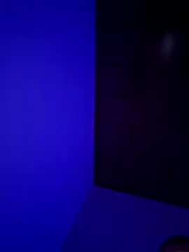 Pavelbure77 online show from February 2026 12:44:01 AM