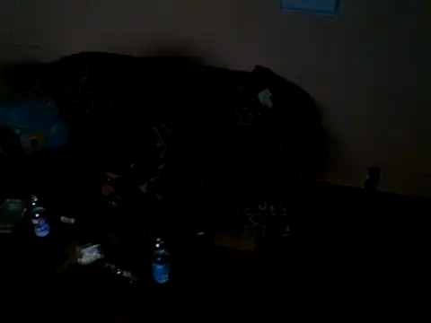 ZDRAVKICH online show from December 2024 04:12:01 AM