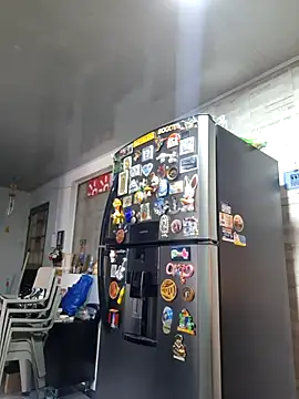 linda-schmidt online show from January 2026 06:47:02 PM